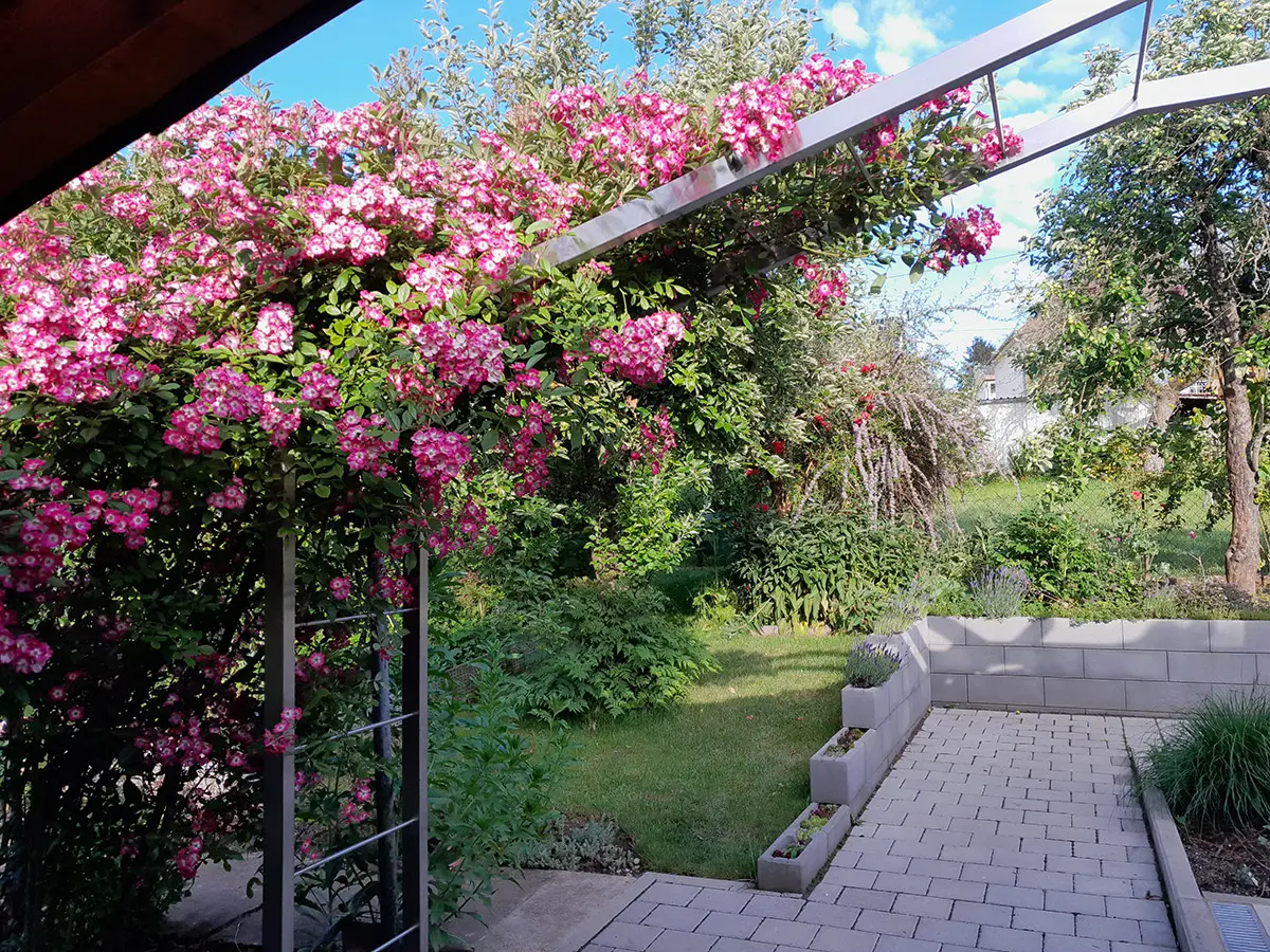 Rund ums Haus